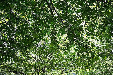 Haven工作室联合创始人离职 距离成立不到一年